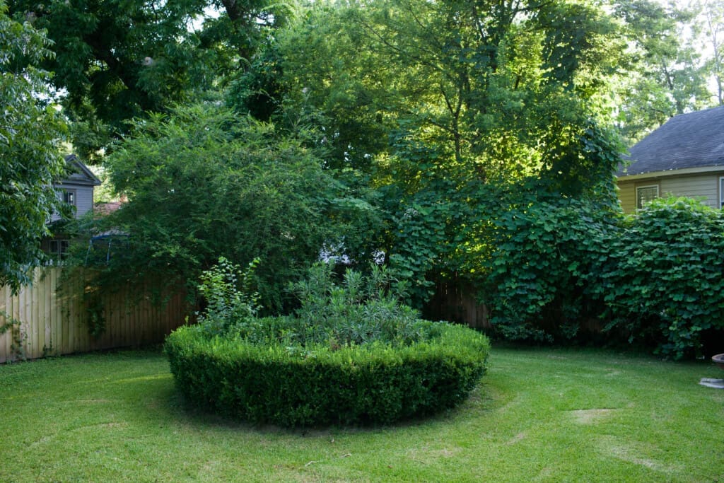 06afb5c4 b551 45e9 b340 8c5098980249.jpg