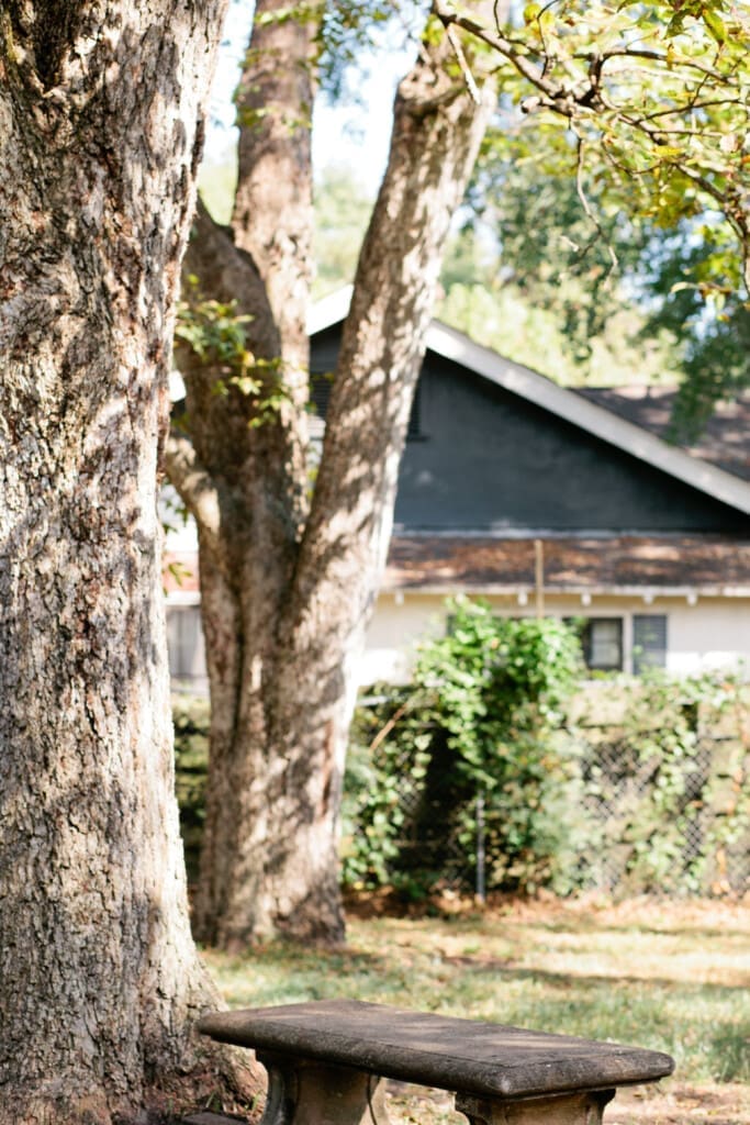 11691b18 62ec 4701 9cf8 9b2b7409ea9a.jpg