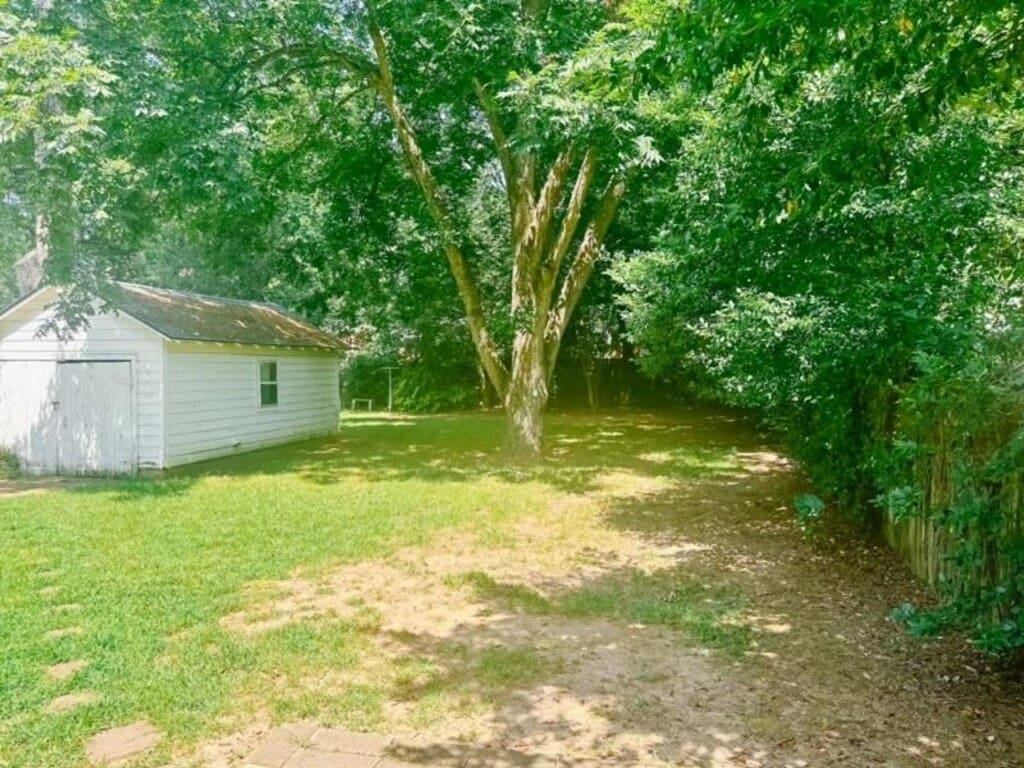 219e37c9 41d5 4818 8dc7 3c01d7471a3b.jpg