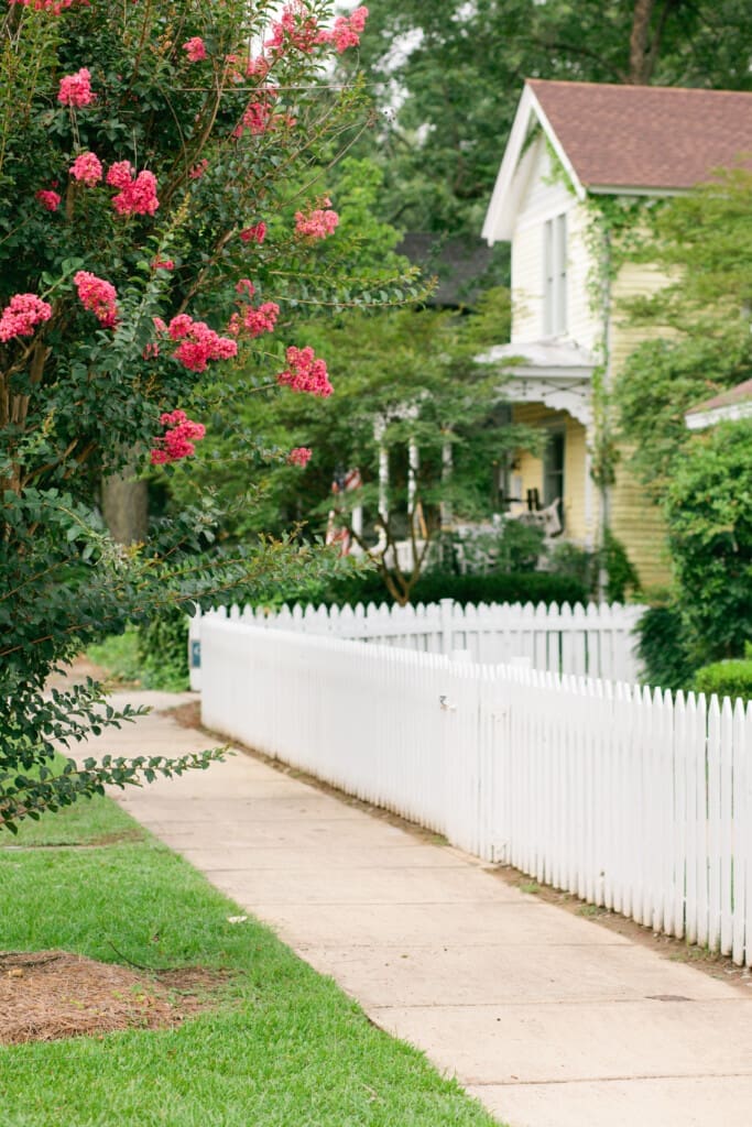 21f3d4a1 5b94 44de 85a0 33bf9d8b6ceb.jpg