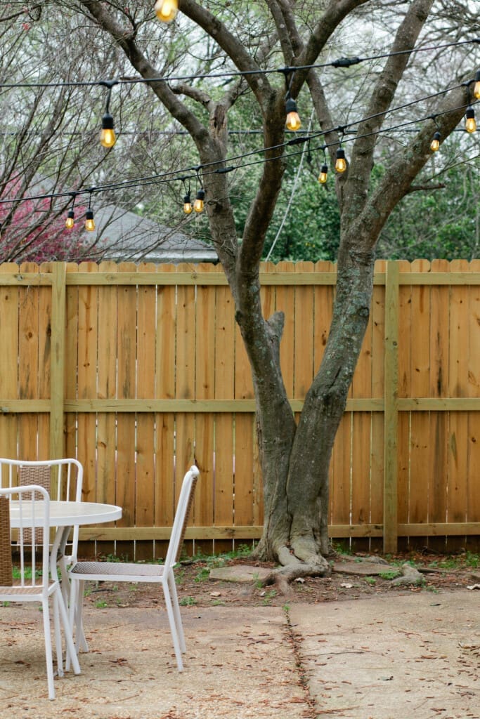 331ed301 66cf 489b 900d f81e1f9e68d1.jpg