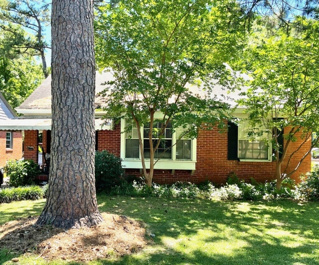 4f607ead 6d00 46ef aa6b cdb238a496f5.jpg