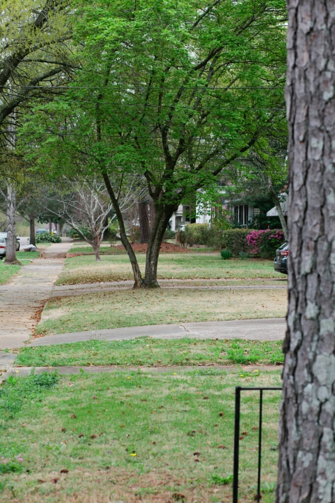 950dd6e1 d05e 41f4 94e1 b170678e649a.jpg