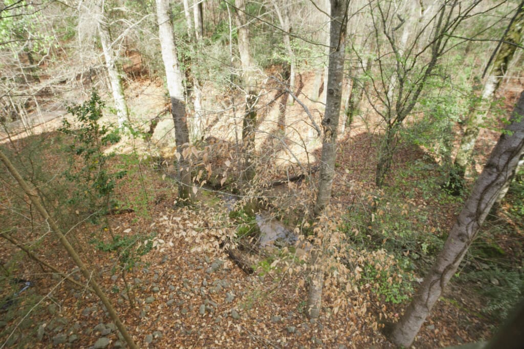 9e5a0005 3e82 4ef8 8c2a 4ea5da2df2e3.jpg