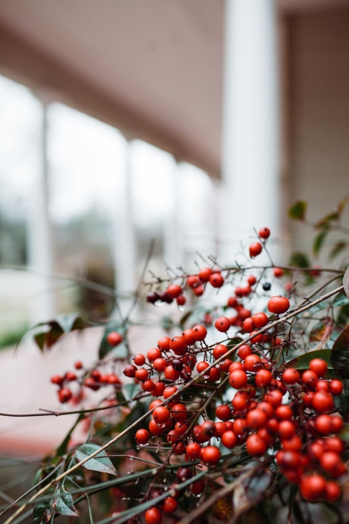 c6b5247e b675 4e36 a573 d75fb6db2ac7.jpg