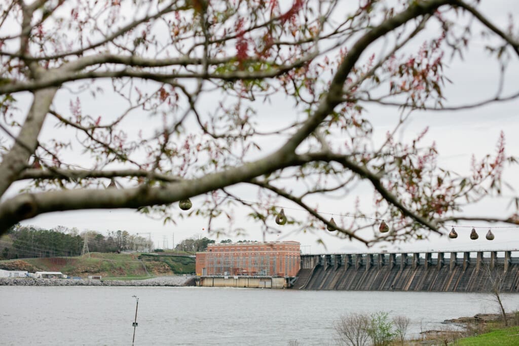 c942f99b 96cb 41b4 84e4 0b166fac210c.jpg