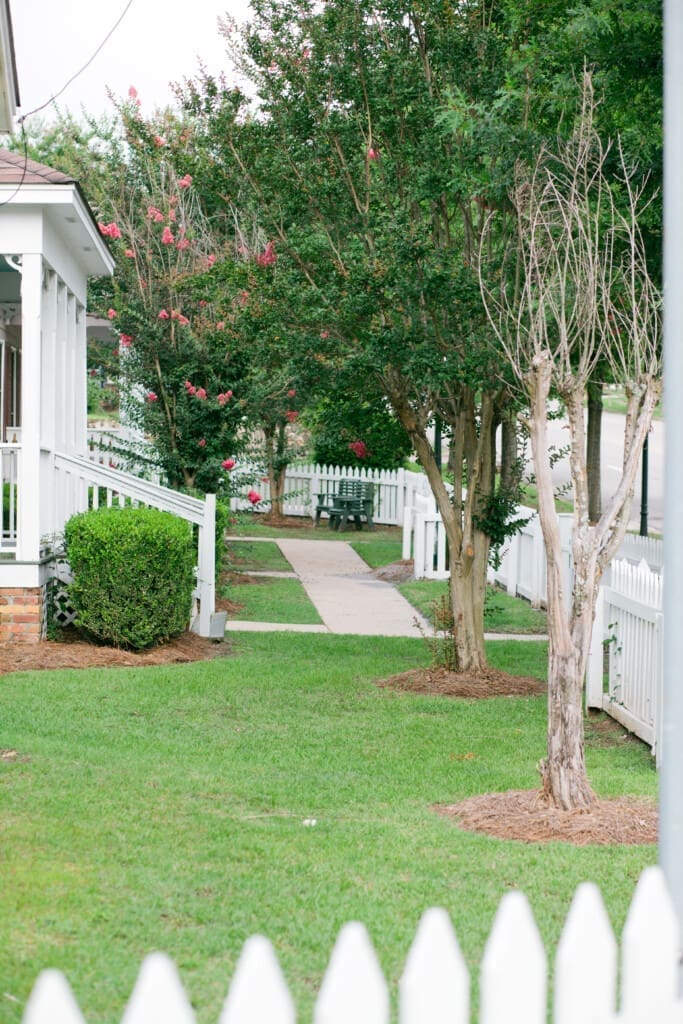 ce2c1be3 5799 4cb6 8b29 2d7ccf77b248.jpg