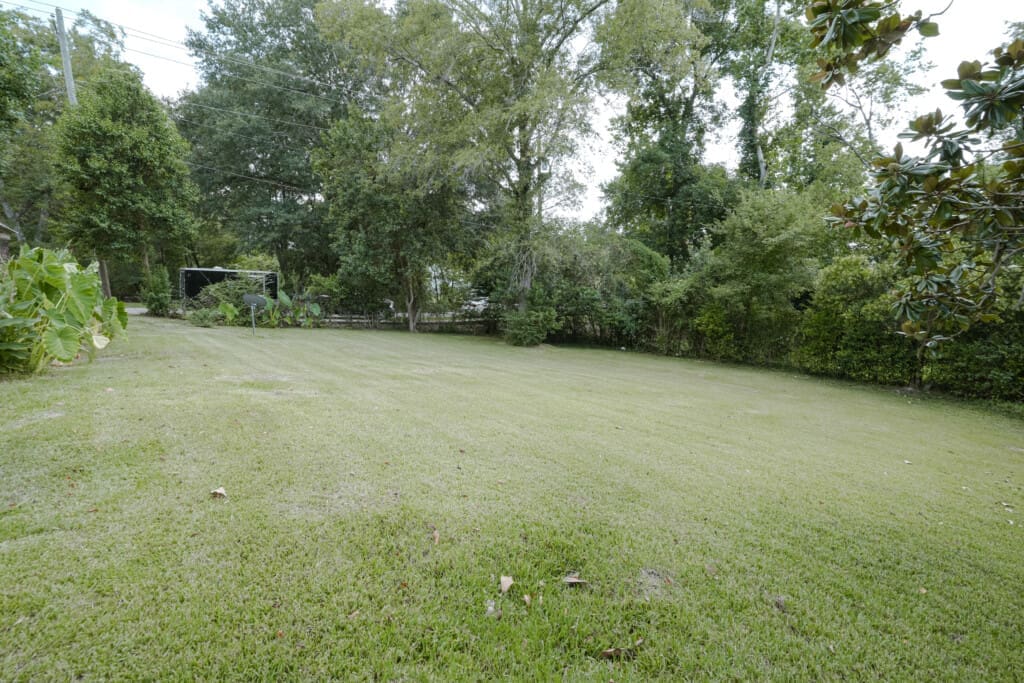 d5d2fed6 f37c 452f 8b51 4ec8a1627f30.jpg