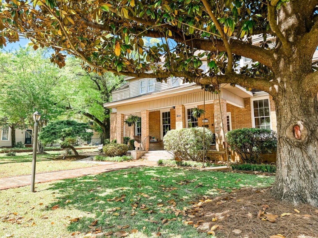 f29afd49 7dc5 431d b30d ca24c97f1fc5.jpg