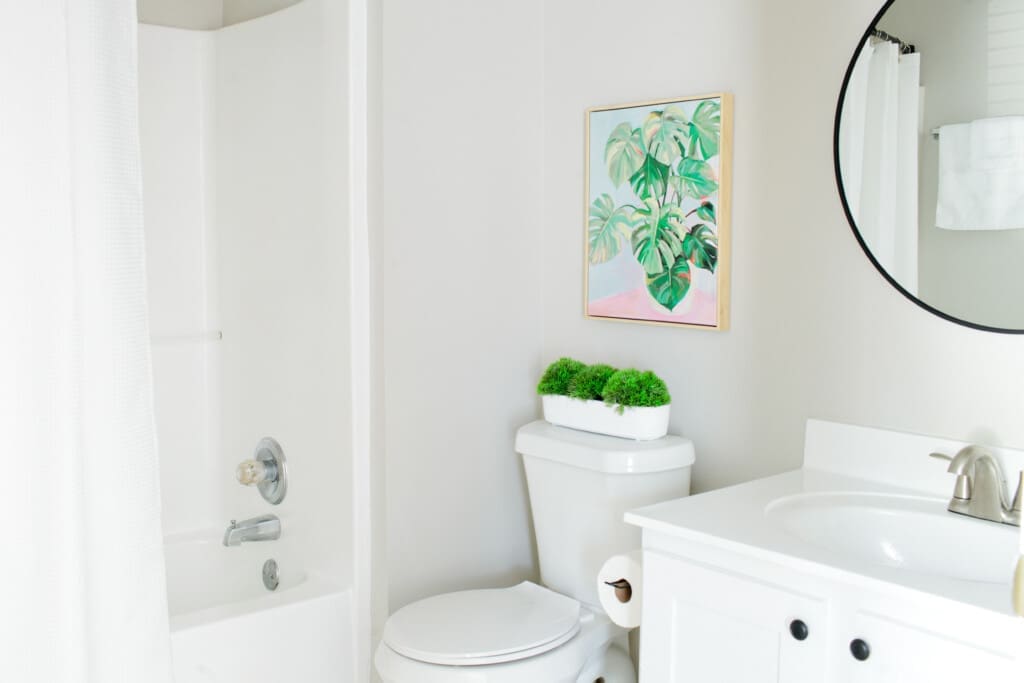 f3213e77 9bfd 47e6 a829 fa2ba26809f5.jpg