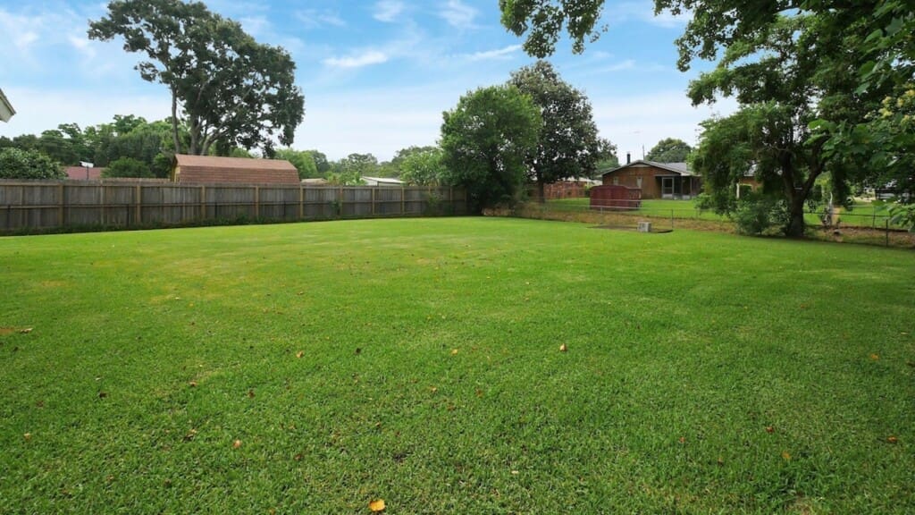 f9ada9e4 21d6 4021 84bf 10359d4223ad.jpg