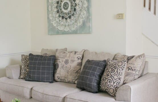 0e05d9dd dd32 41ec bff3 9b958d56e499