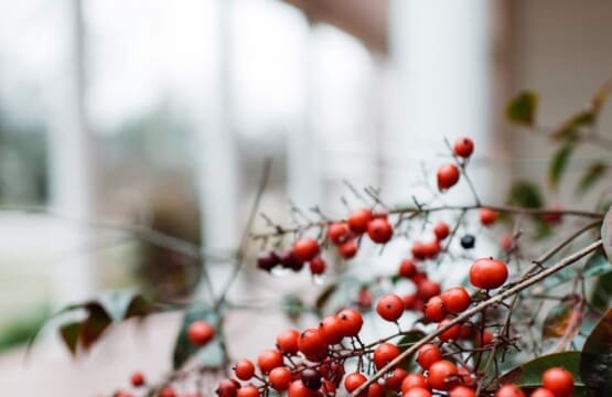 3c90f139 3221 49a7 b858 c278b48433b5