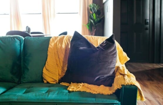 8f59a40f 3a72 424e bc2f b89c58fc09ed